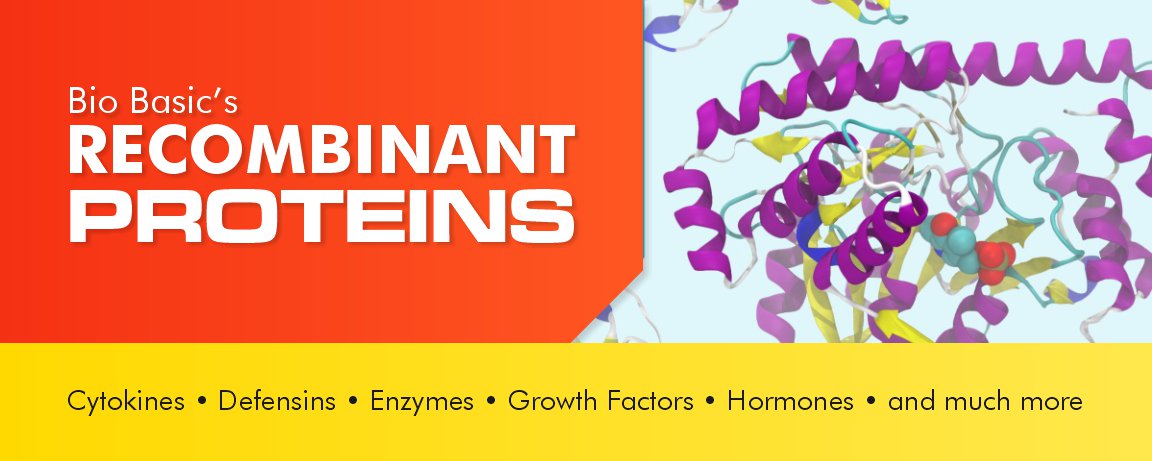 Introducing our NEW Fetal Bovine Serum (FBS)