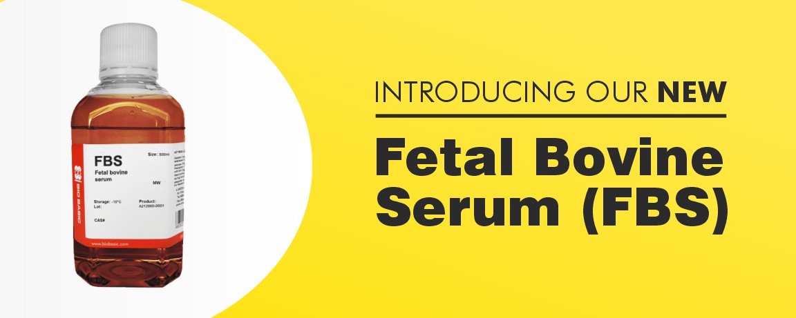 Introducing our NEW Fetal Bovine Serum (FBS)