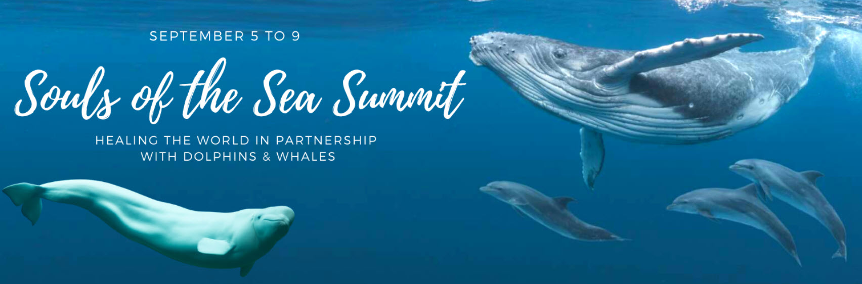 Click here to join for free https://tp258.isrefer.com/go/SeaSoulSummit/IlonaSelke/