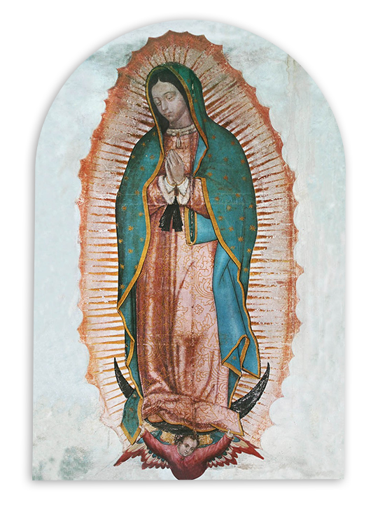 Our Lady of Guadalupe APLA