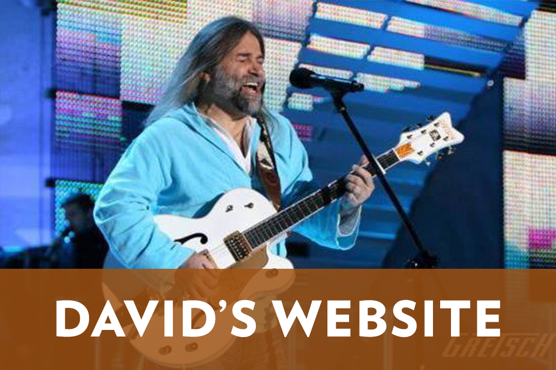 David Vogel website