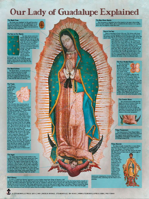 Our Lady of Guadalupe Explained Poster