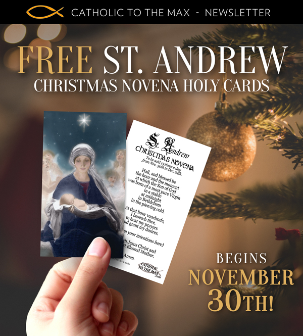 St Andrew Novena Holy Cards