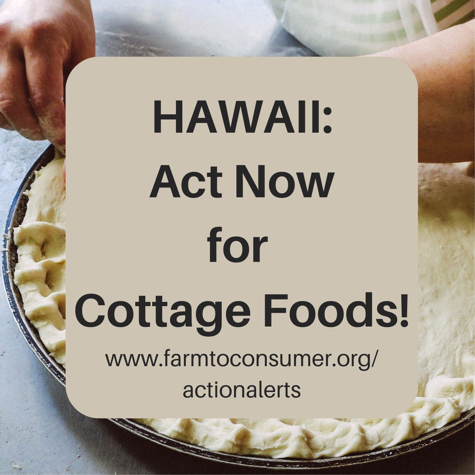Washington State Pickles Action Alert