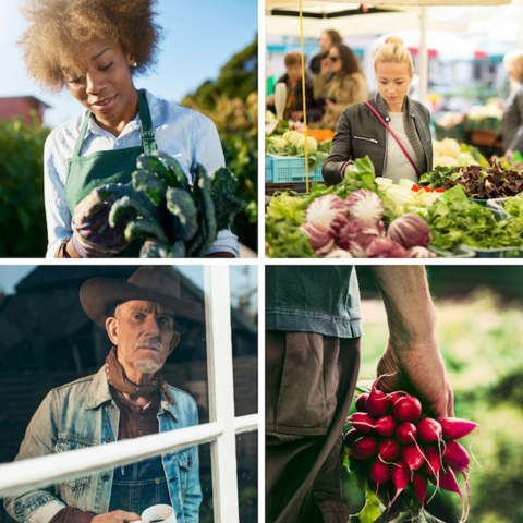 Farmer Gardener Consumer Collage Square