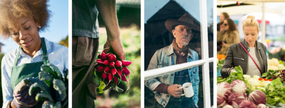Farm Food Collage