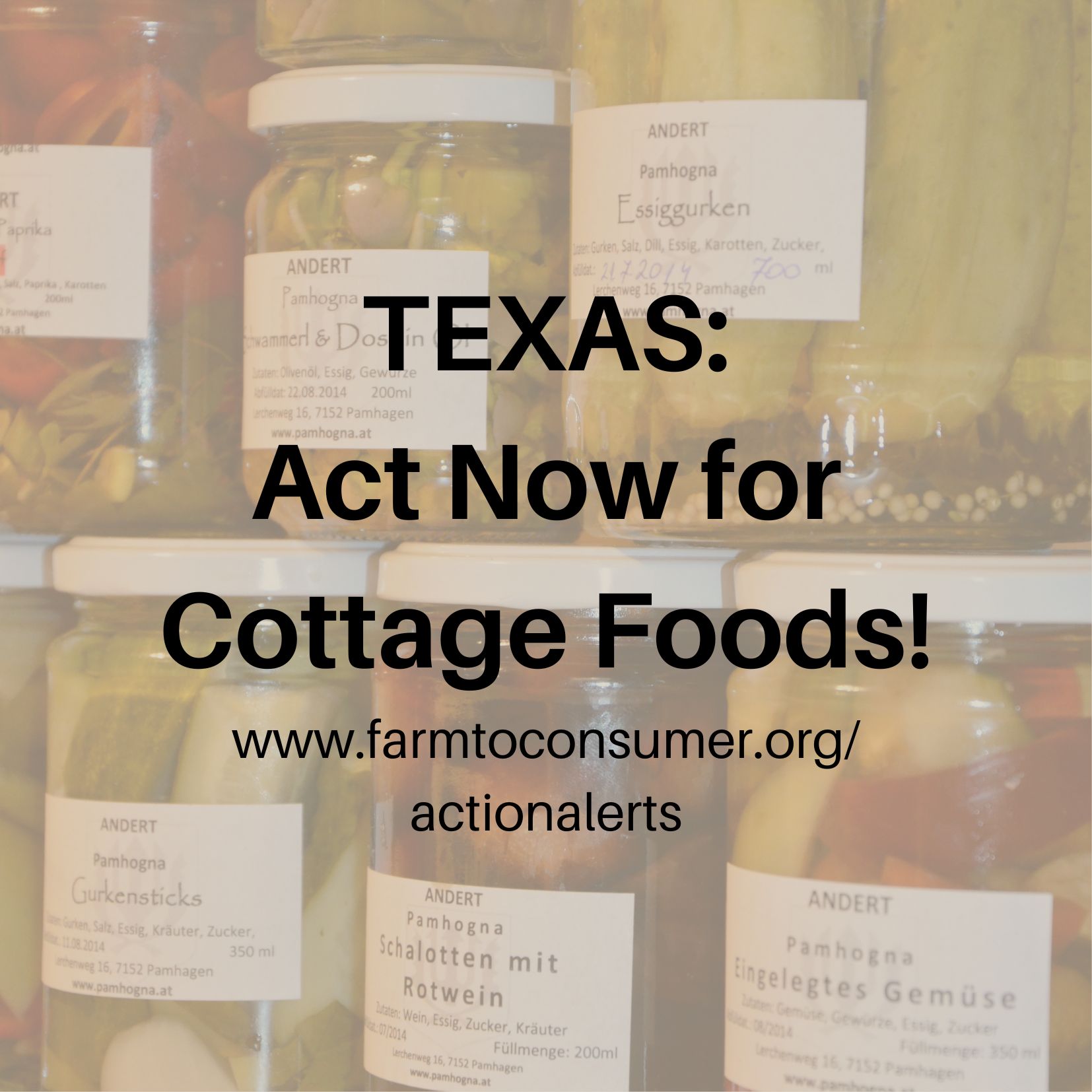 Texas Action Alert