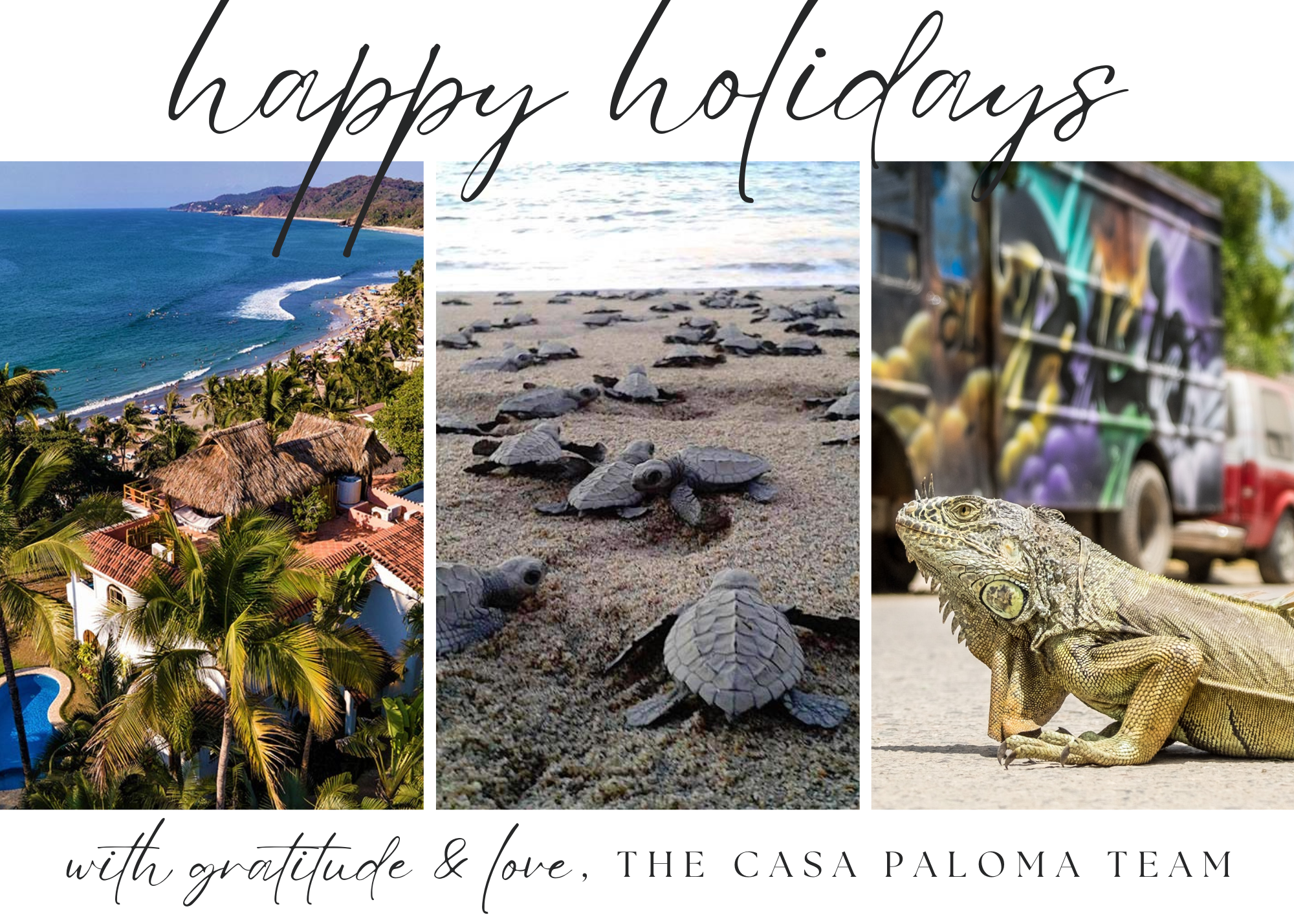 Happy holidays for the Casa Paloma team!