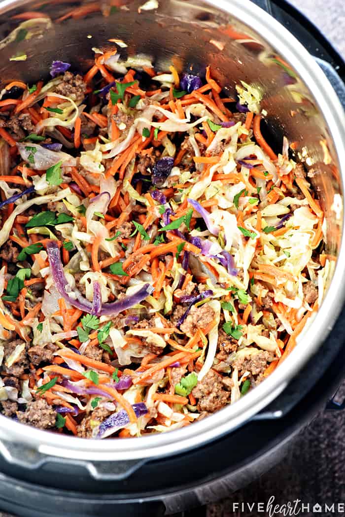 INSTANT POT EGG ROLL IN A BOWL