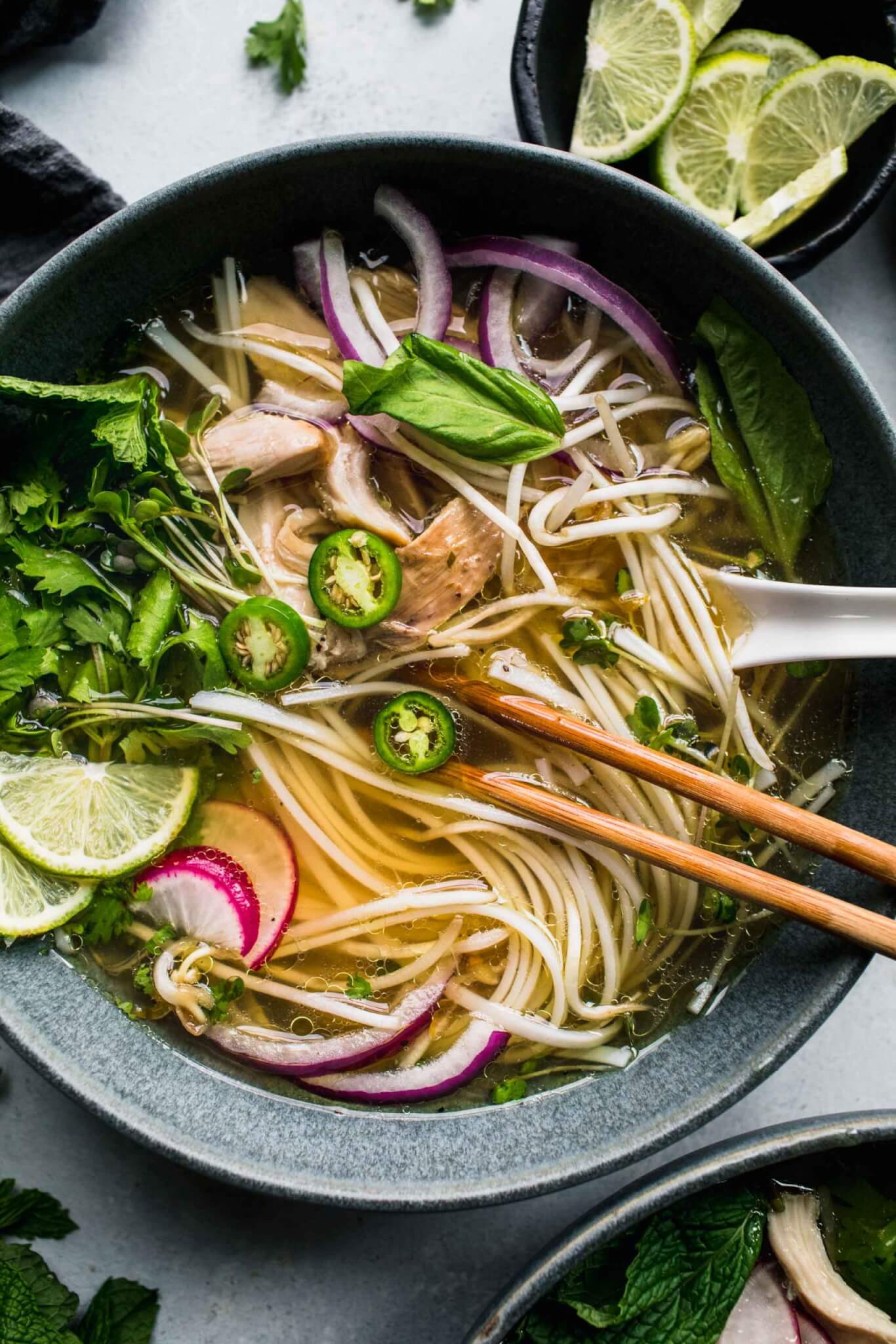 Instant Pot Pho Soup