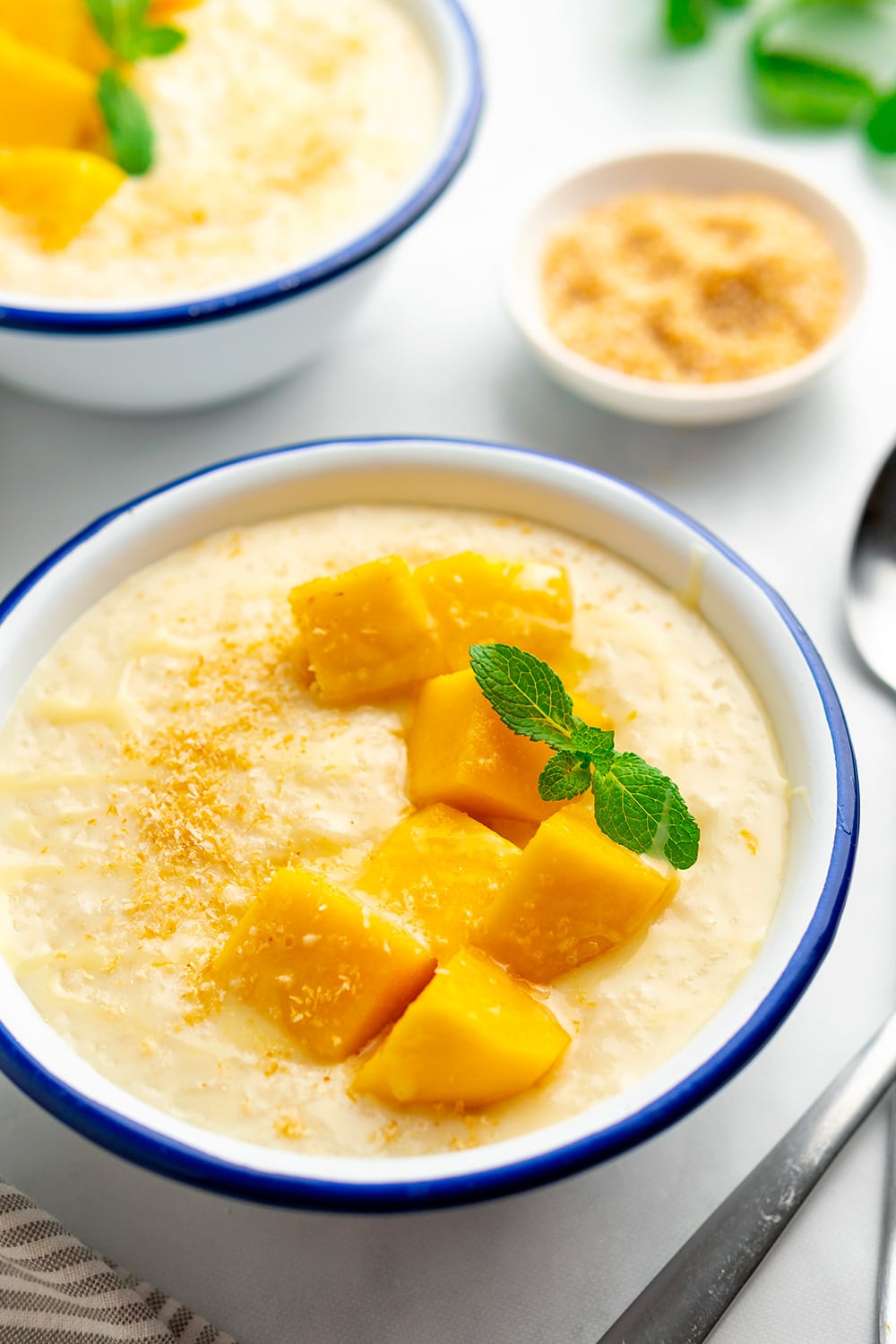 Coconut Rice Pudding With Mango