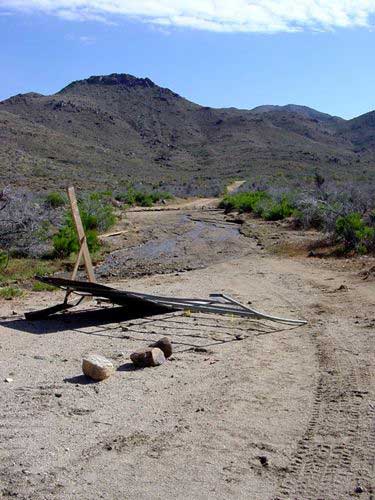 Old road in the Cerbat Mountains, Kathy Alexander, 2005.