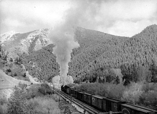 Train in Washington State