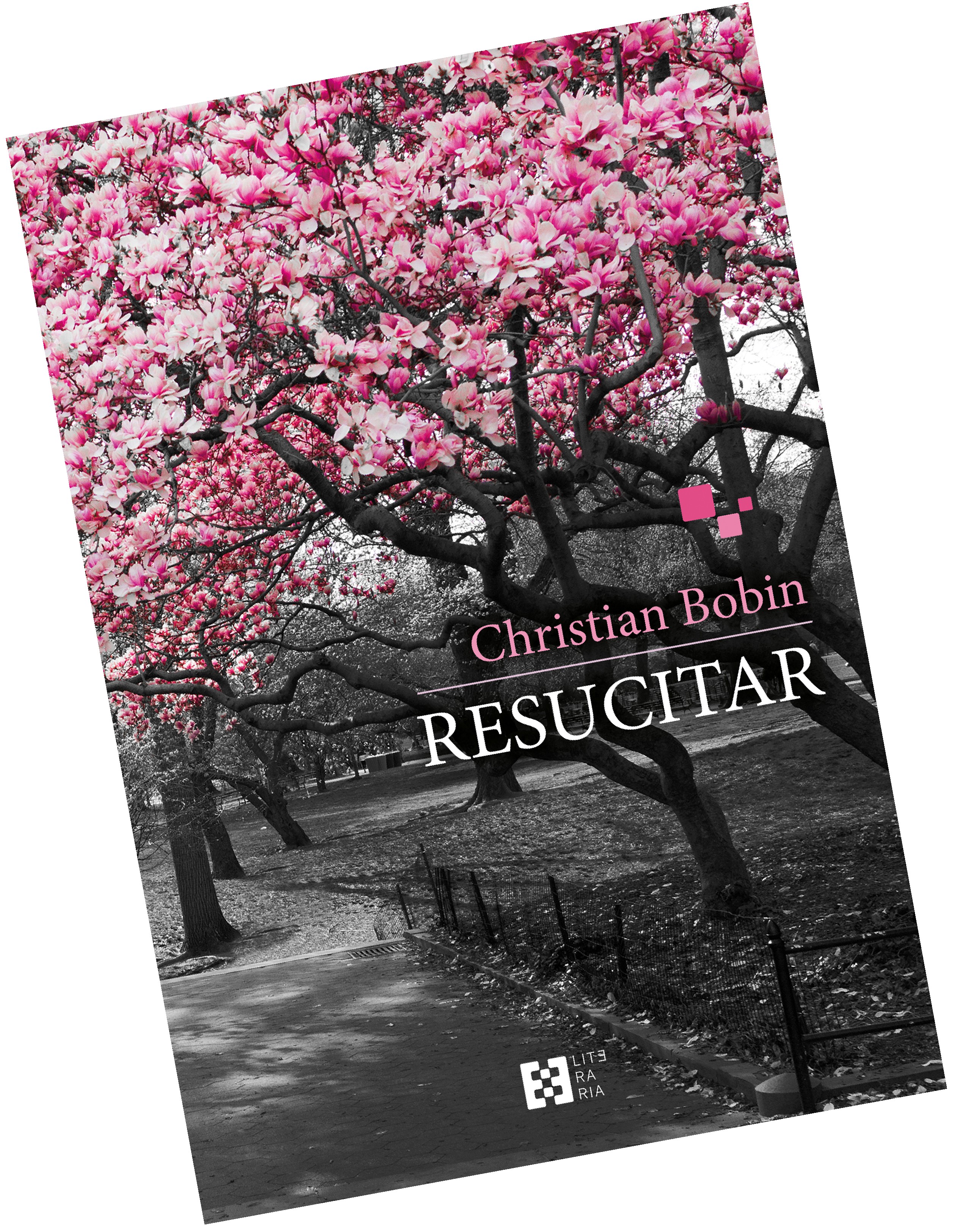 https://edicionesencuentro.com/libro/resucitar/