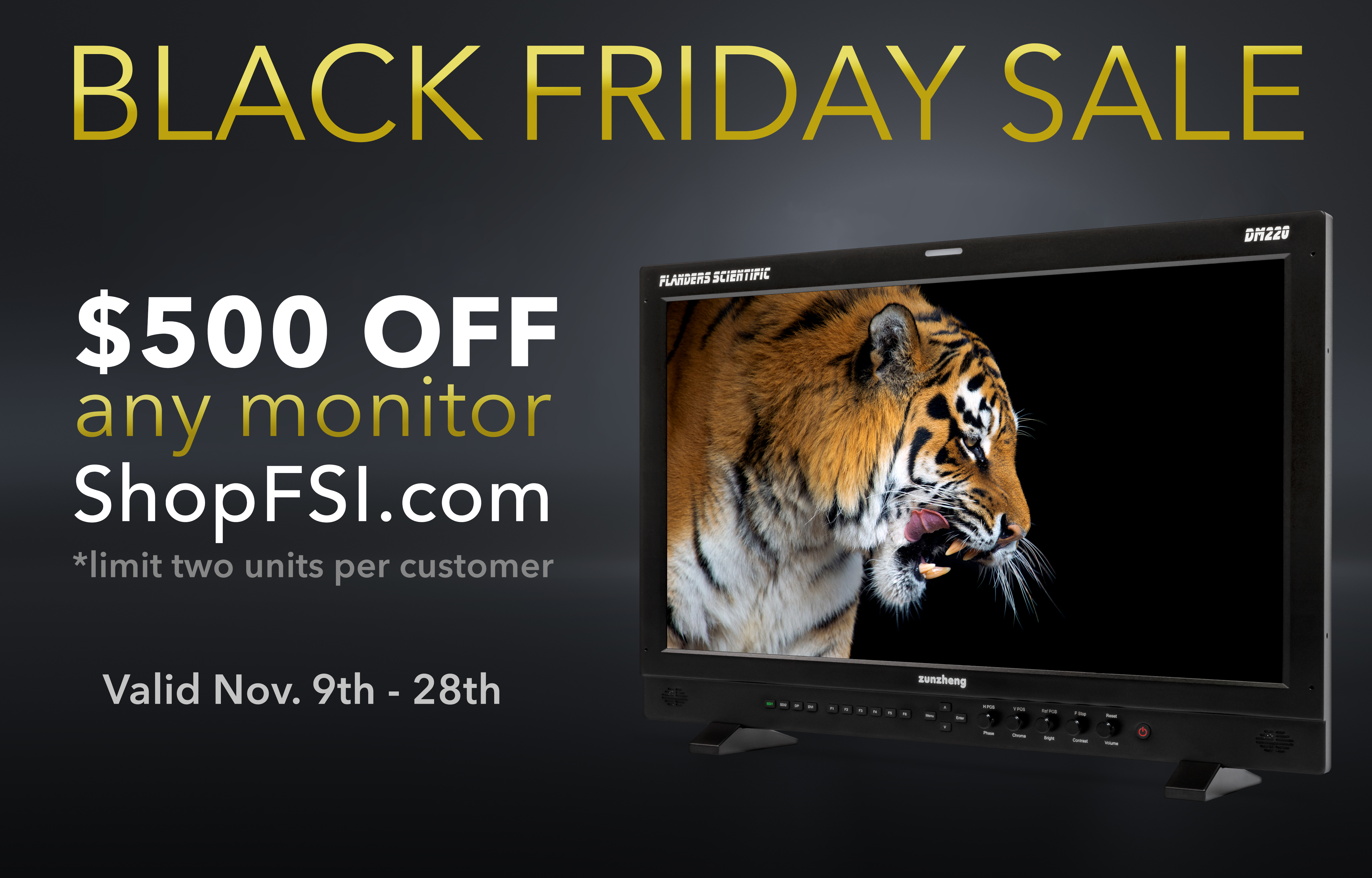 FSI monitor sale