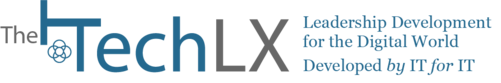 Leadership Development for the Digital World: By IT for IT