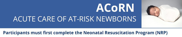 Acute care of at-risk newborns. May 10, 2024.