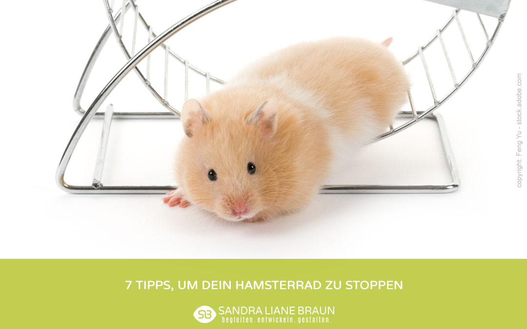 7 Tipps, um Dein Hamsterrad zu verlassen