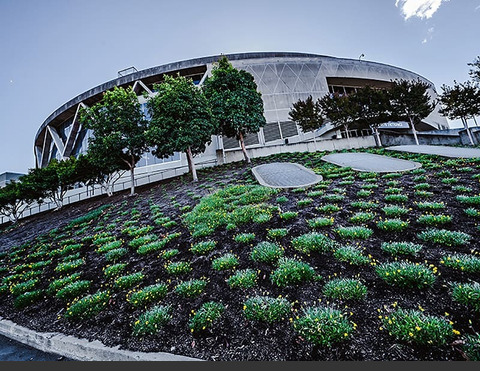Oklahoma Arena with record revenue