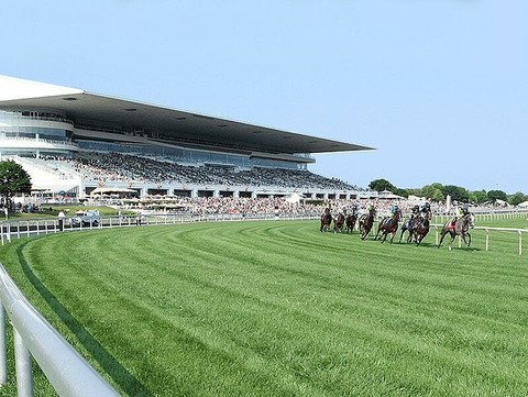 Chicago Bears submit bid to buy Arlington Racecourse