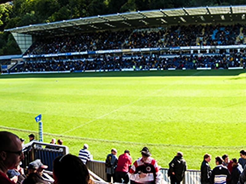 Wasps are planning a new stadium