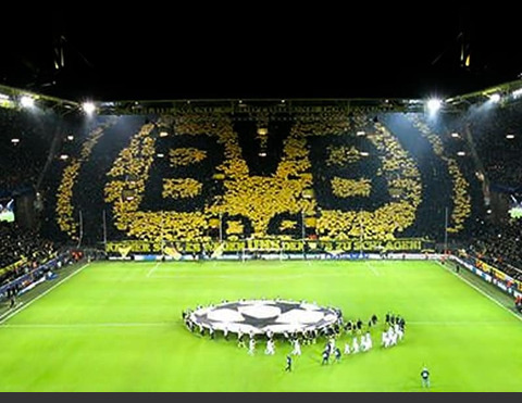 Borussia Dortmund financial loss