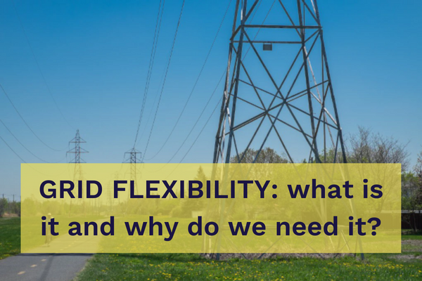 A photo of an electricity pylon with the blog title 'Grid Flexibility: what is it and why do we need it?' overlayed.