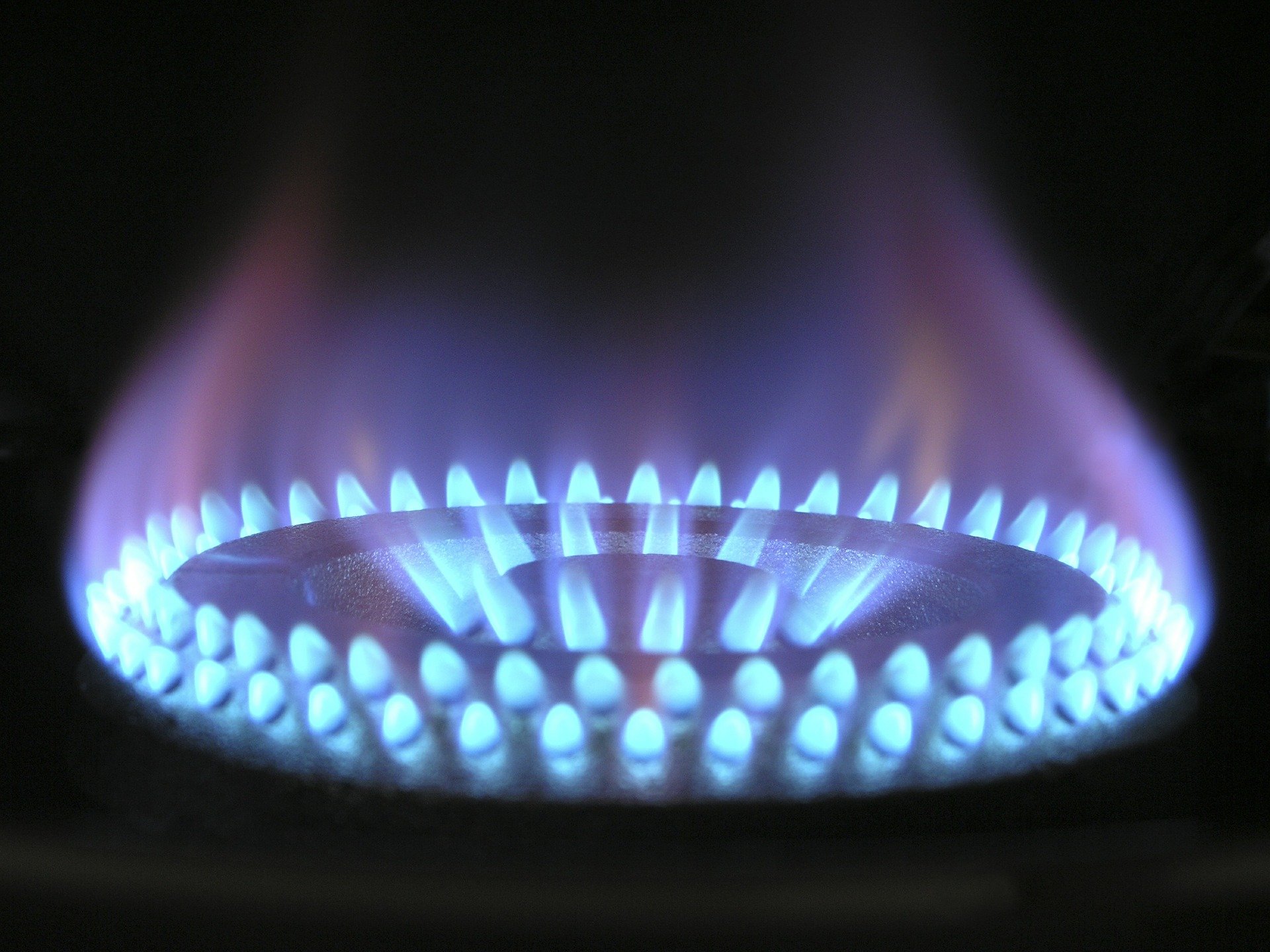 Photo of a gas burner hob