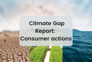 Climate Gap Report: Consumer actions