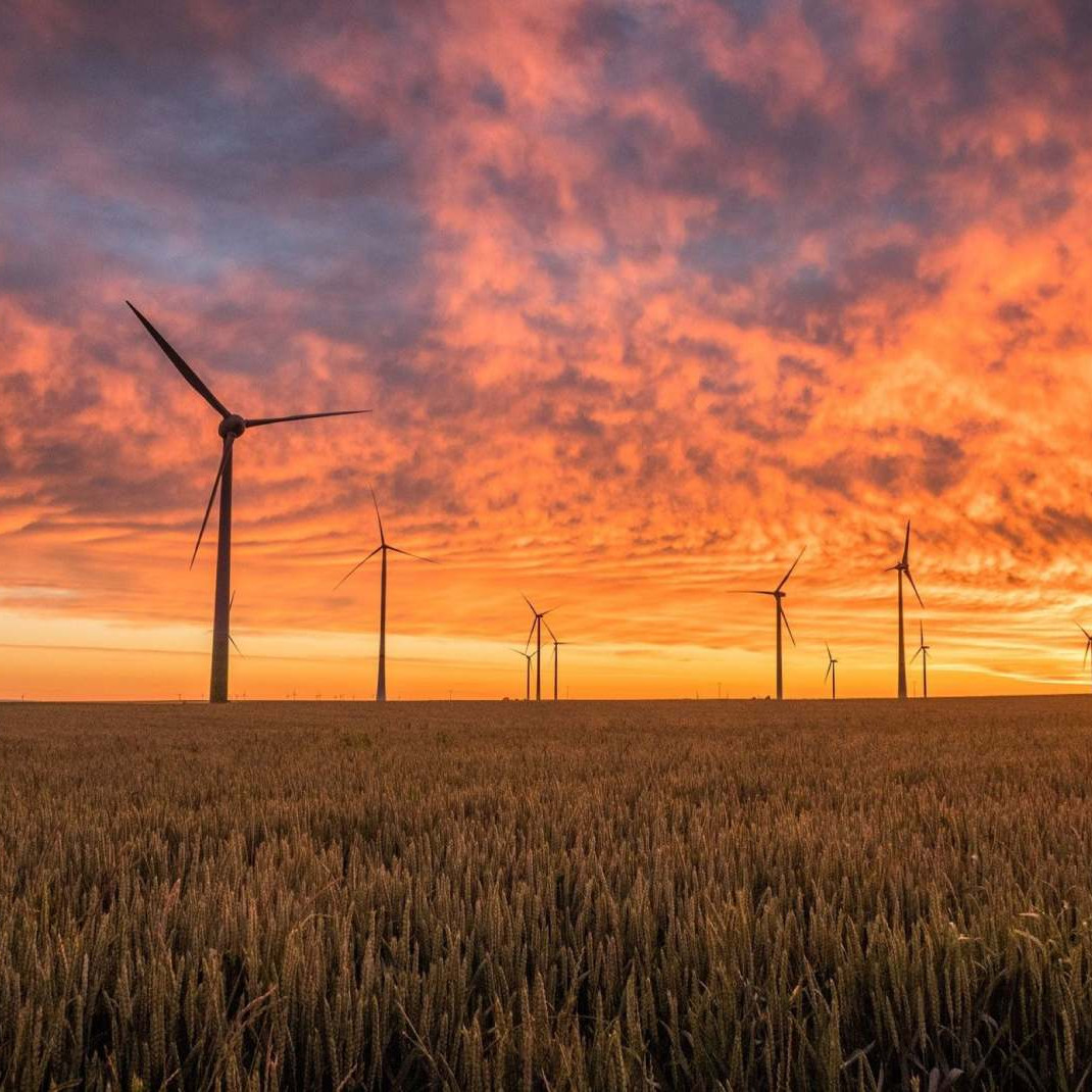 Photo of a windfarm at sunset