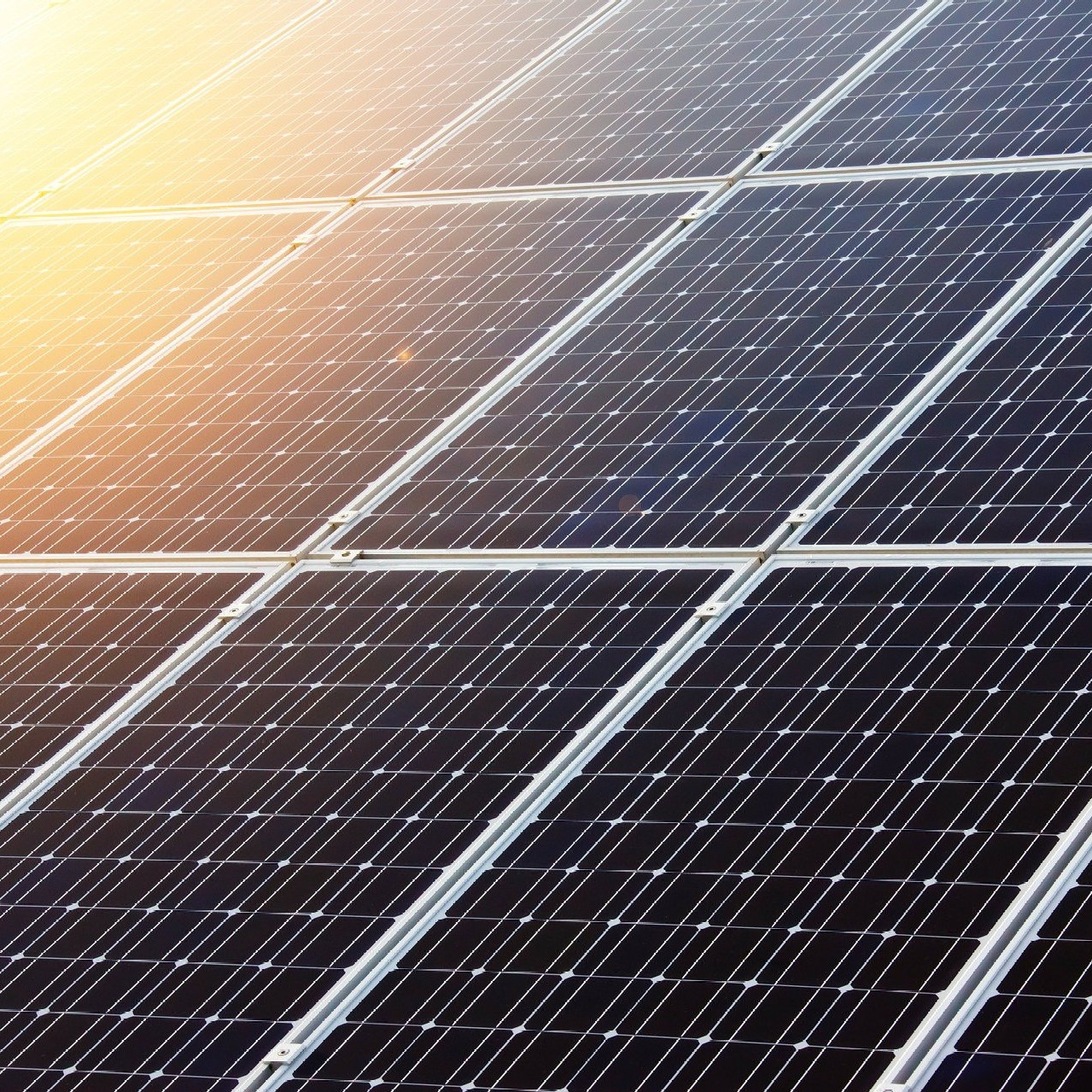 Photo of solar PV panels