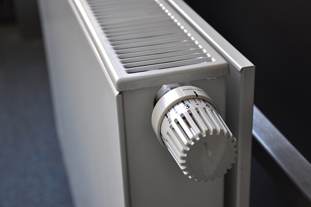 Photo of an old ornamental radiator