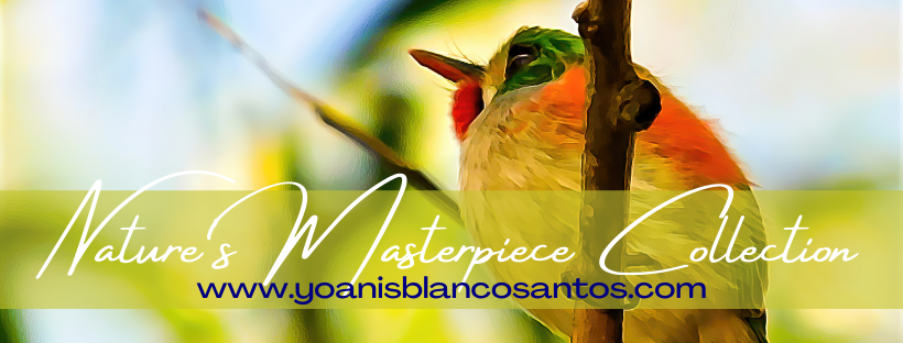 YoanisBlancoSantos.com