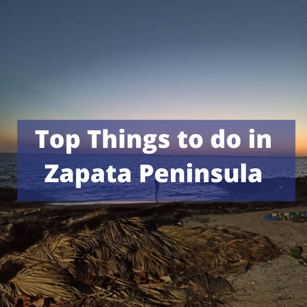 https://simplycubatours.com/top-things-to-do-in-zapata-peninsula/