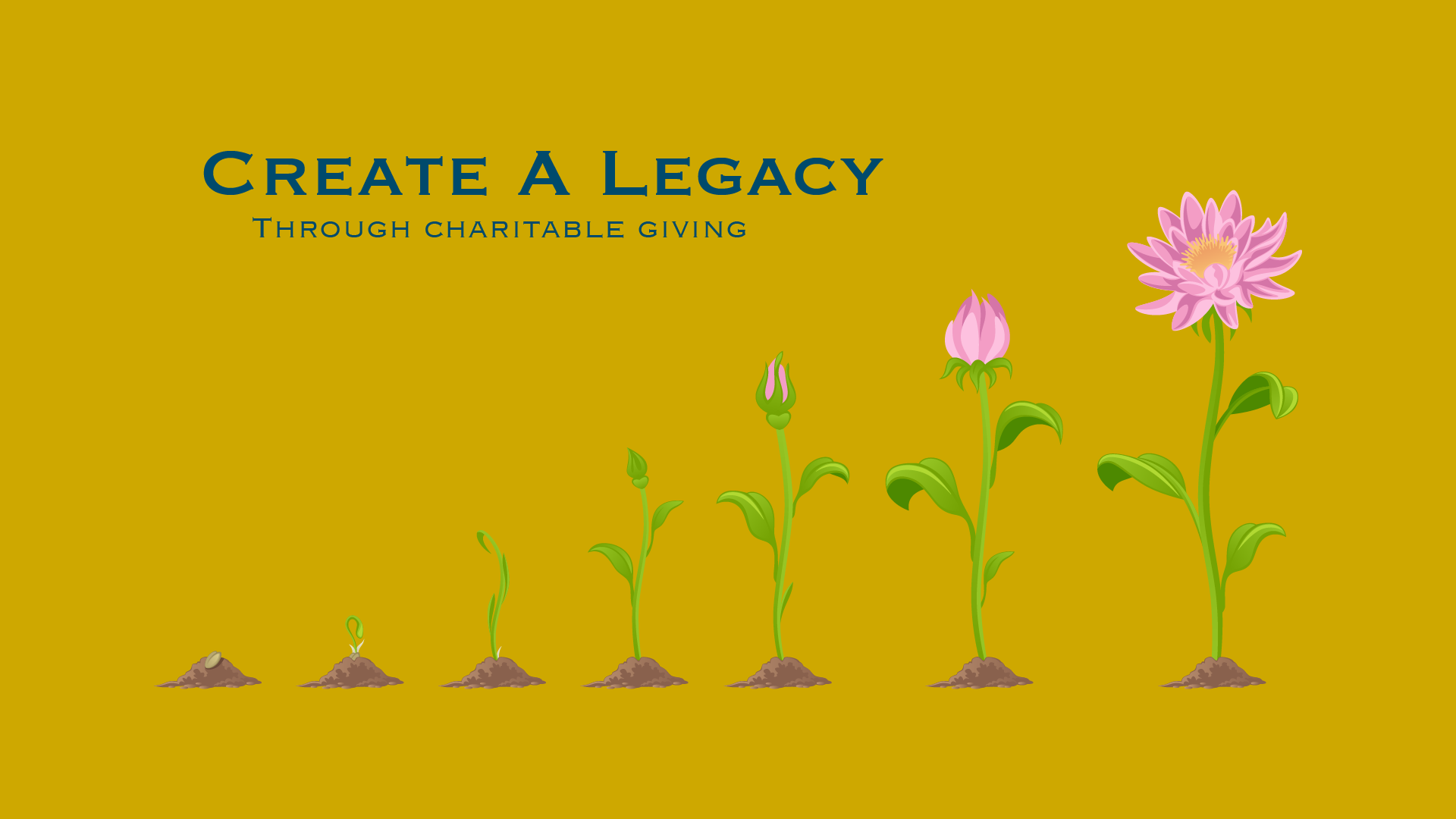 create a legacy