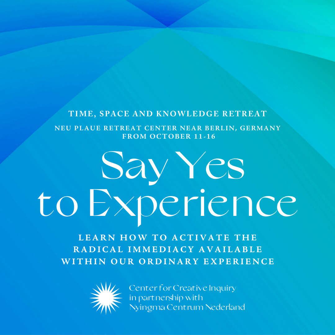 self in question graphic