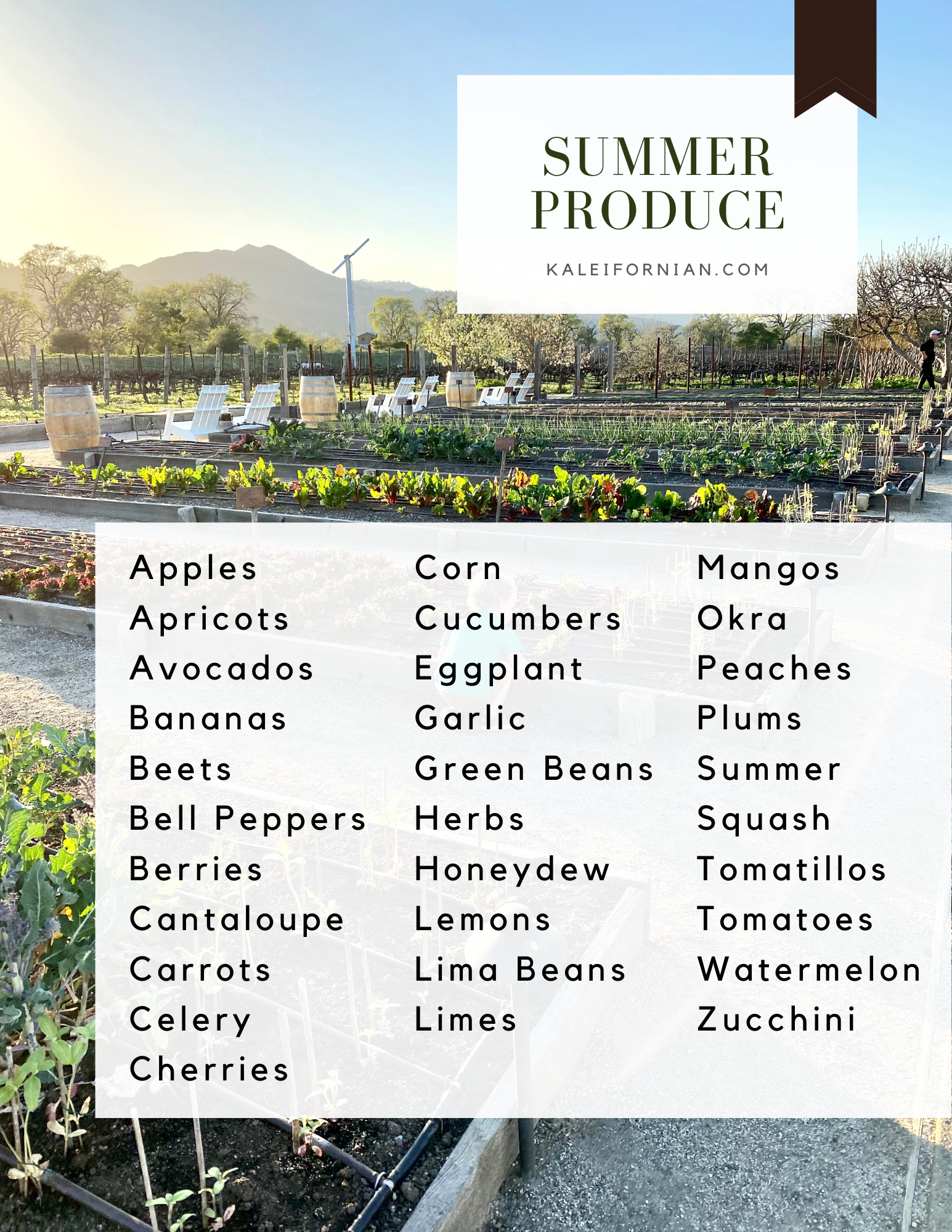 Summer produce guide